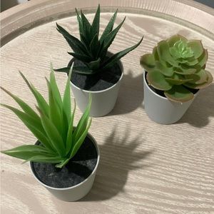 Aesthetic fake plant trio set/Wall decor